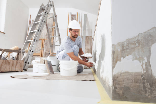 Best Drywall for Remodeling  in Lake Panasoffkee, FL