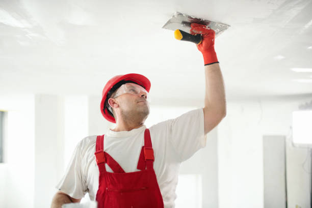 Best Drywall Texturing  in Lake Panasoffkee, FL